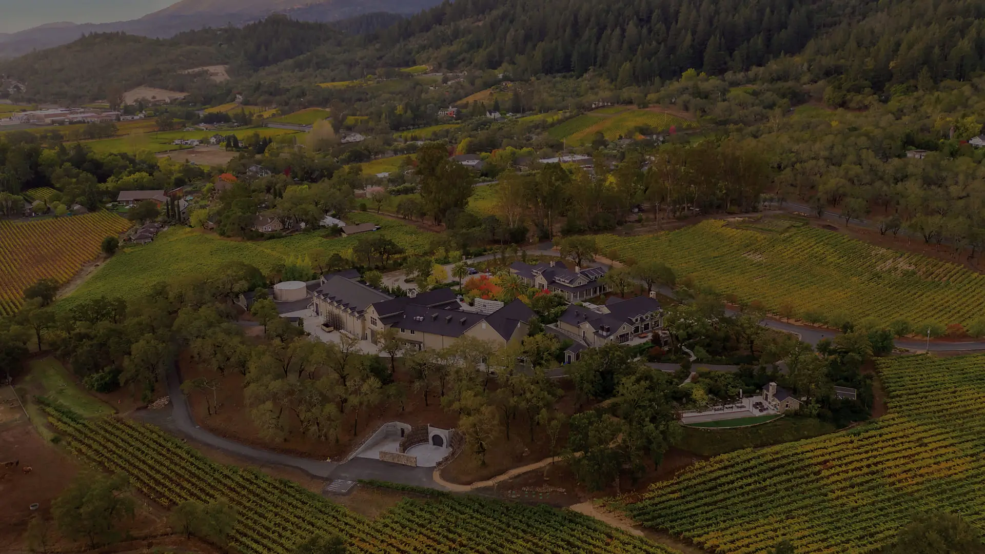 An aerial view of a vineyard in California.